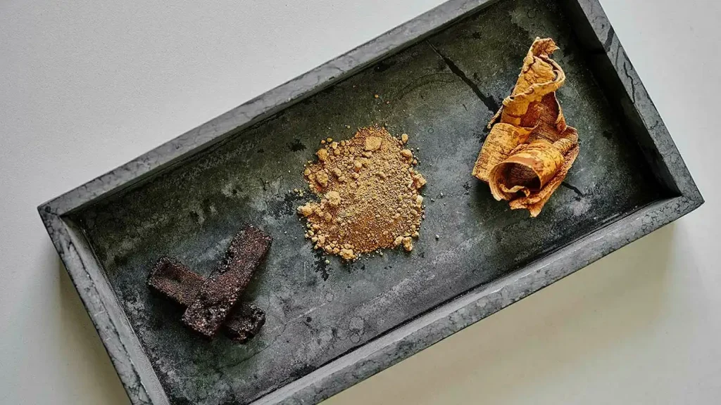 Dagens Industri: Jättens nya satsning på björkbark i däcken